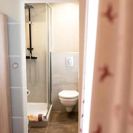 Roesslgut Oda ve Kahvaltı Zederhaus