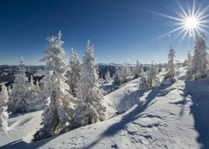 Roesslgut * Цедерхаус